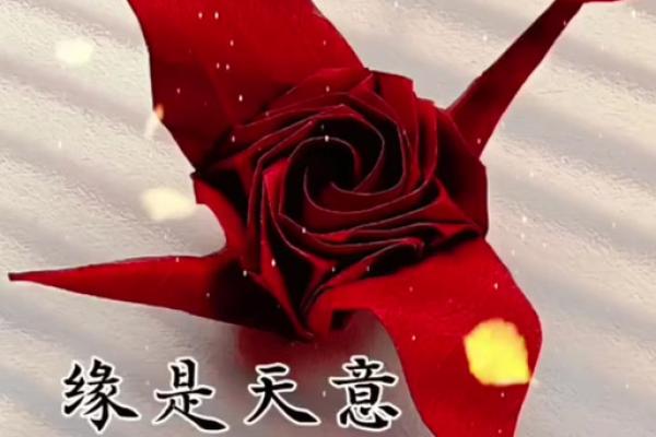 没有缘分_没有缘分是什么意思 没有缘分_没有缘分是什么意思