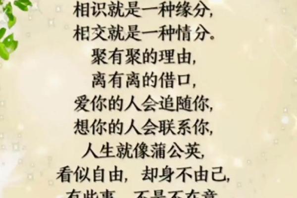 没有缘分_没有缘分是什么意思 没有缘分_没有缘分是什么意思