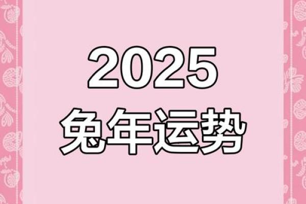 属兔人2025年事业运势 属兔人2025年事业运势