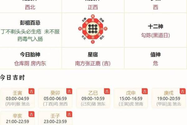 1971年属猪人今日运势解析财运事业感情全指南 1971年属猪人今日运势解析财运事业感情全指南