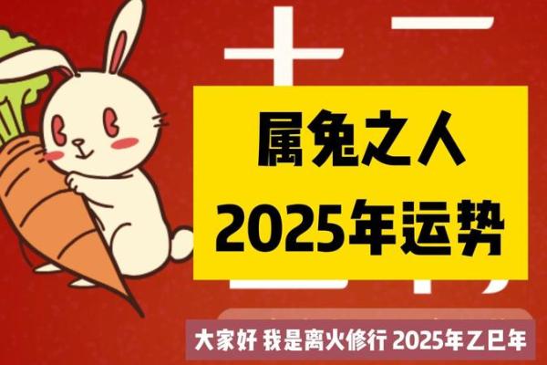 2025年87年属兔人运势详解财运事业感情全解析 2025年87年属兔人运势详解财运事业感情全解析