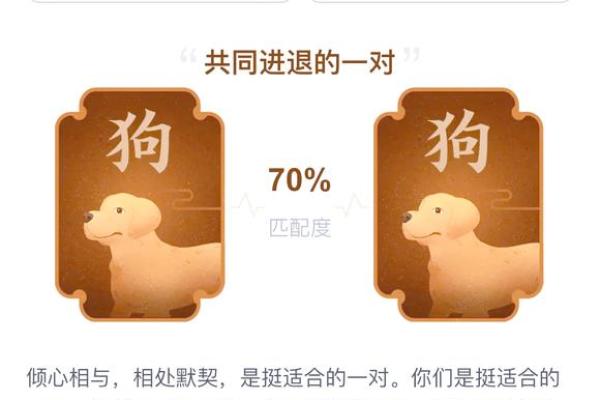 1970年属狗的最佳婚配_73年属牛的婚姻配对最佳