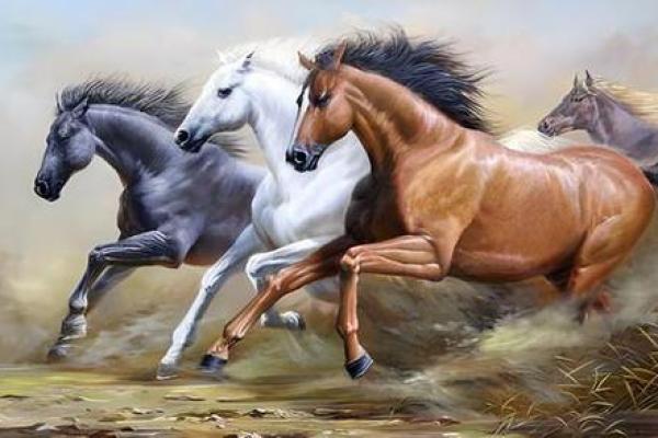 1954年属马未来5年运势_1954年属马2021年运势及运程 1954年属马未来5年运势_1954年属马2021年运势及运程