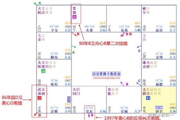 夫妻宫四化入各宫表象 夫妻宫四化入命宫 夫妻宫四化入各宫表象 夫妻宫四化入命宫