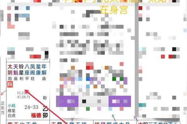 2025年3月11日寅时女命紫微斗数全解盘 2025年3月11日寅时女命紫微斗数全解盘