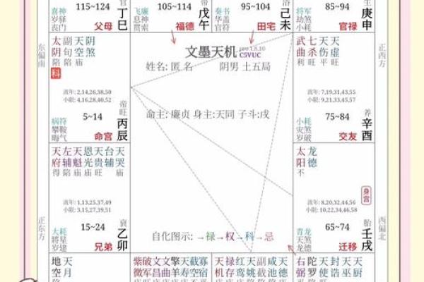 八字紫微斗数解析揭秘命运密码与人生运势 八字紫微斗数解析揭秘命运密码与人生运势