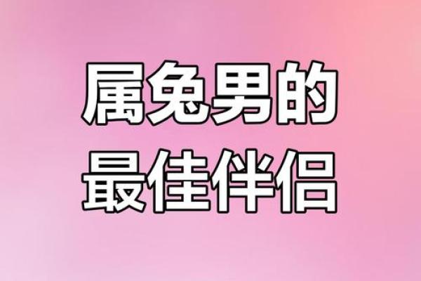 女人属兔的最佳婚配_女人属兔的最佳婚配属相