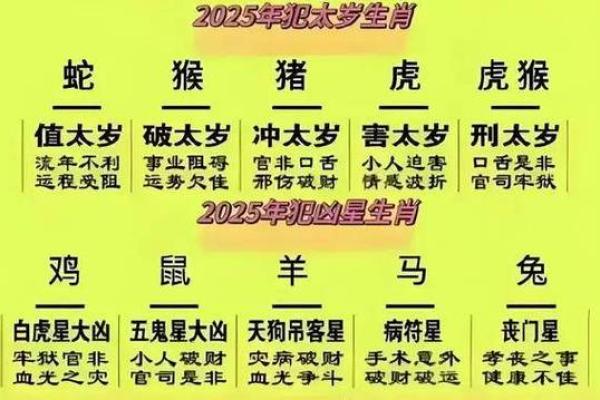 2025年属马几岁 2025年属猪几岁 2025年属马几岁 2025年属猪几岁