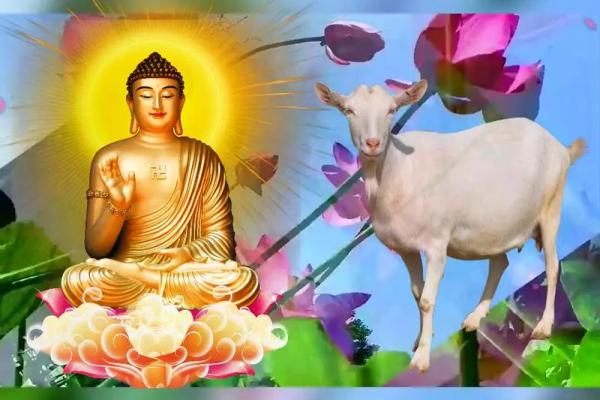 1991年属羊2026年运势解析运程详解与吉凶预测 1991年属羊2026年运势解析运程详解与吉凶预测