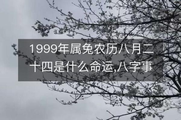 1999年属兔的命_1999年属兔的命格 1999年属兔的命_1999年属兔的命格