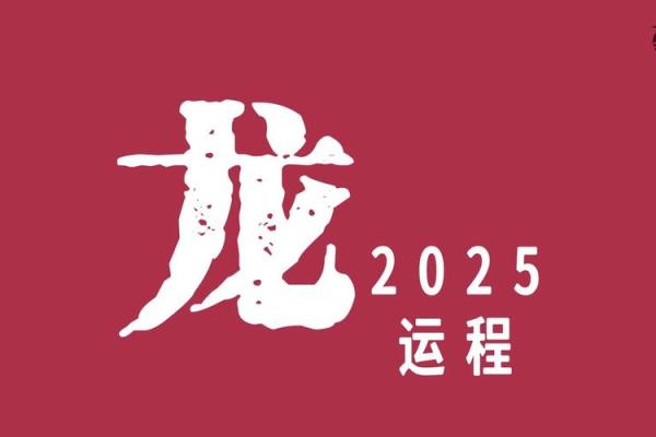 属龙人2019年运势