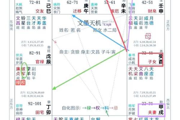 2025年3月30日丑时女命紫微斗数全解盘