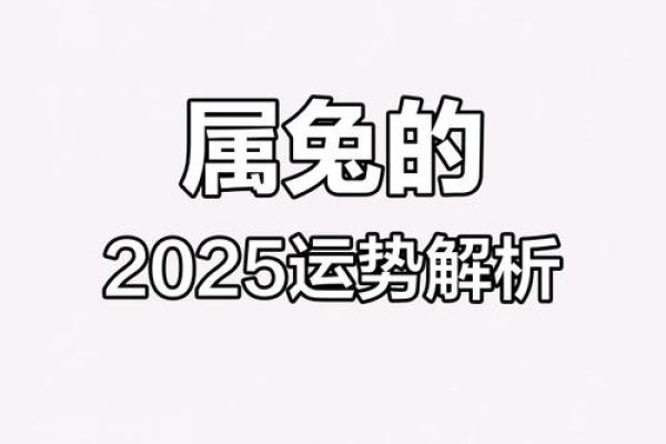 属兔今年多大年纪2025年_2025年属兔人年龄详解今年你多大 属兔今年多大年纪2025年_2025年属兔人年龄详解今年你多大