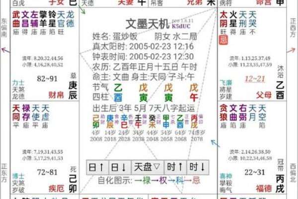 2025年2月26日子时女命紫微斗数全解盘 2025年2月26日子时女命紫微斗数全解盘