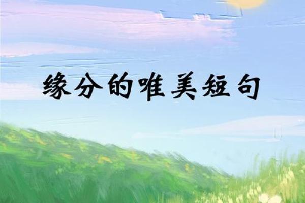 缘分的分是什么意思_缘分中的分