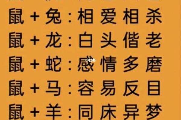 龙女兔男属相婚配好吗_龙女兔男属相婚配好吗解析生肖配对最佳组合 龙女兔男属相婚配好吗_龙女兔男属相婚配好吗解析生肖配对最佳组合