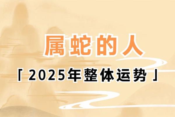 属龙的蛇年运势2025年运程_属龙人2025年全年运势详解