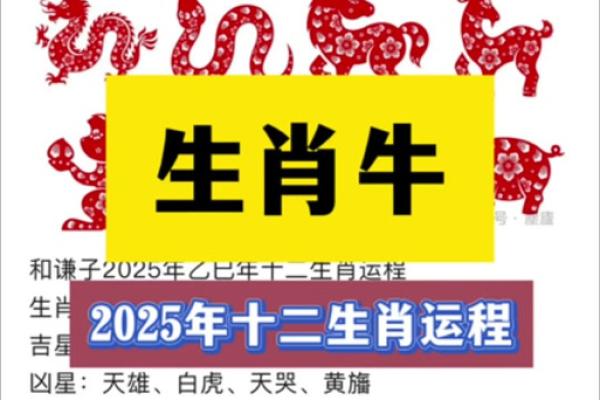 1976年龙2025年运势_1976年属龙人2025年全年运势大解析 1976年龙2025年运势_1976年属龙人2025年全年运势大解析