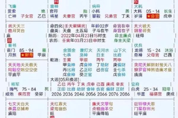 2025年3月14日子时女命紫微斗数全解盘