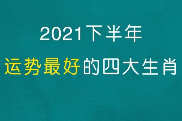 属兔人2021年下半年运势咋样 属兔人2021年下半年运势咋样
