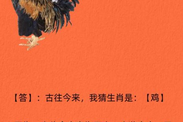 问五今秋几时黄是什么生肖 问五今秋几时黄是什么生肖