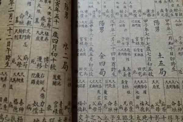 陈仲易紫微斗数水平如何_陈仲易紫微斗数水平解析专业评价与实战分析