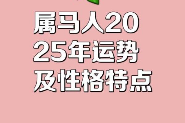属马2019年运势 属马2019年运势
