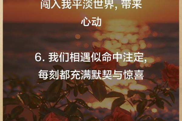 一定是特别的缘分 特别的缘分命中注定的奇妙相遇