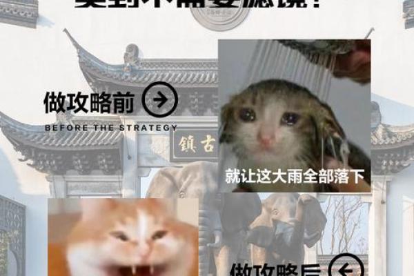 江南水乡打一生肖 江南水乡打一生肖