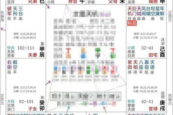 2025年2月17日子时男命紫微斗数全解盘
