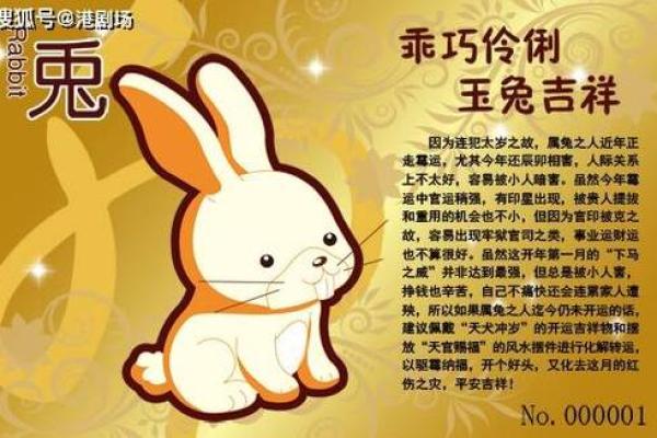 属兔2025年每月运势及运程 2025年的属兔人的全年运程 属兔2025年每月运势及运程 2025年的属兔人的全年运程