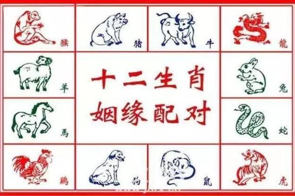 属兔跟属龙的姻缘怎么样 属兔与属龙姻缘解析相配指数与婚姻运势