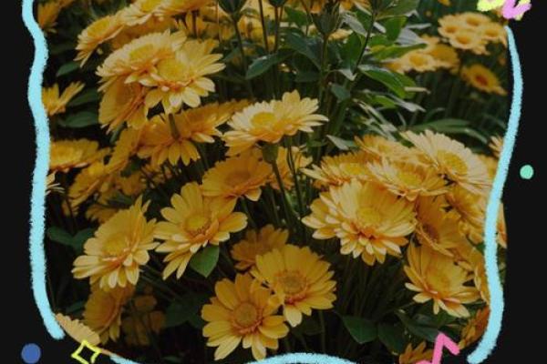 2024年7月餐饮开业吉日(2021年4月适合餐饮开业的日子) 2024年7月餐饮开业吉日(2021年4月适合餐饮开业的日子)