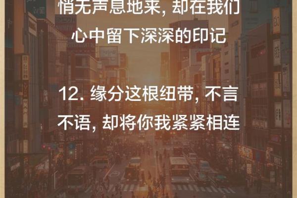 缘分匪浅 缘分匪浅命中注定的奇妙相遇