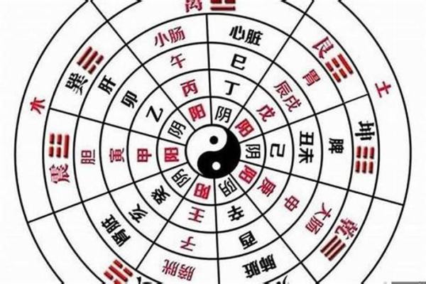 如何查看自己的生辰八字 如何查看自己的生辰八字属阴还是阳