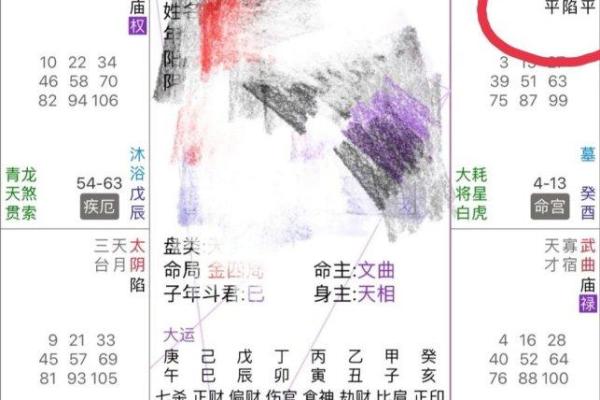 福德宫天马 福德宫天马运势解析与风水布局指南 福德宫天马 福德宫天马运势解析与风水布局指南