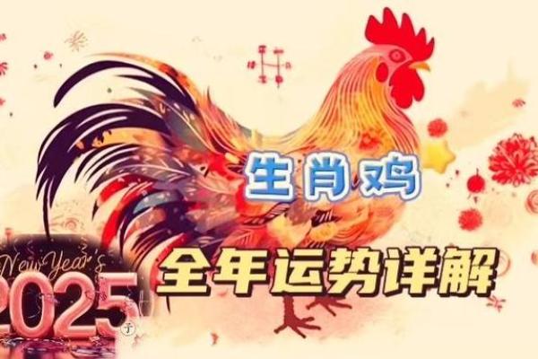 2025年属鸡的今年多大了 2025年属鸡人年龄揭秘今年你多大了 2025年属鸡的今年多大了 2025年属鸡人年龄揭秘今年你多大了