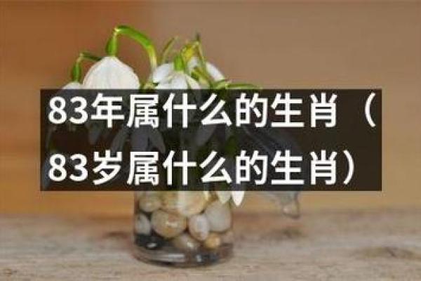 死气沉沉是什么生肖
