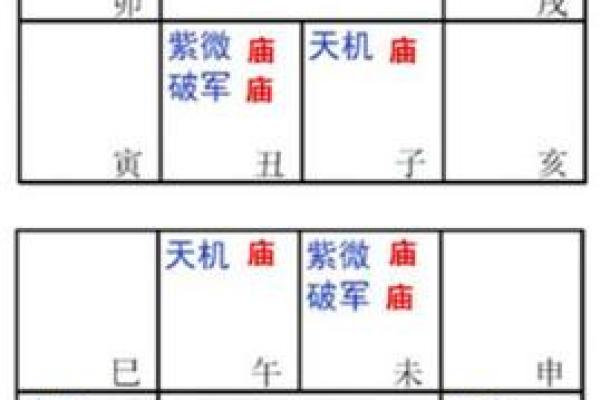 2025年2月24日丑时男命紫微斗数全解盘 2025年2月24日丑时男命紫微斗数全解盘