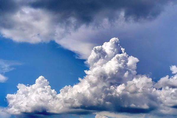 白云苍狗打一个生肖(白云苍狗猜一生肖) 白云苍狗打一个生肖(白云苍狗猜一生肖)