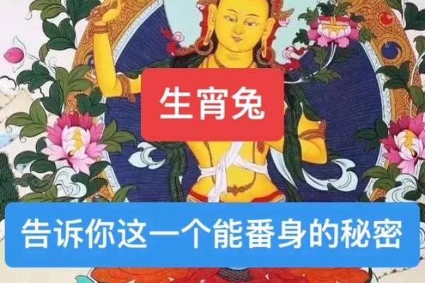 属兔的2021年搬家(2021年属兔的适合搬家的日子) 属兔的2021年搬家(2021年属兔的适合搬家的日子)