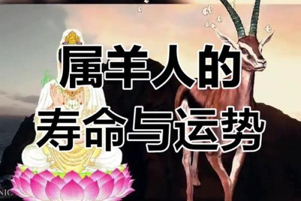 1967年属羊男2025年运势及运程 1967年属羊男2025年运势详解运程走向与关键转折点 1967年属羊男2025年运势及运程 1967年属羊男2025年运势详解运程走向与关键转折点