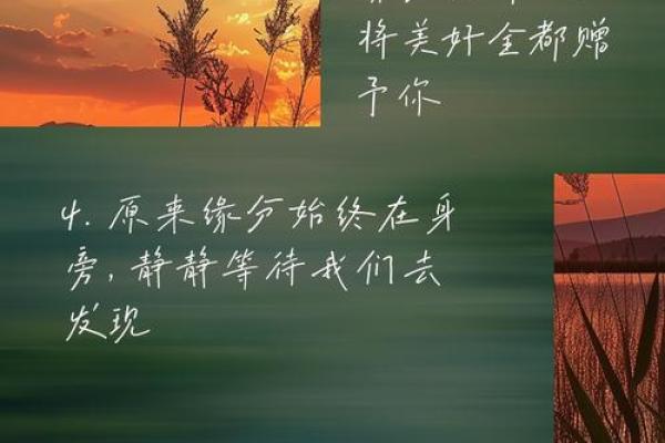 你相信缘分吗_你相信缘分吗的说说