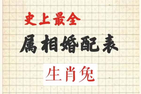 63年兔是什么命 五行属什么 63年兔是什么命 五行属什么床头应放那