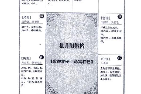 2025年3月9日寅时女命紫微斗数全解盘 2025年3月9日寅时女命紫微斗数全解盘