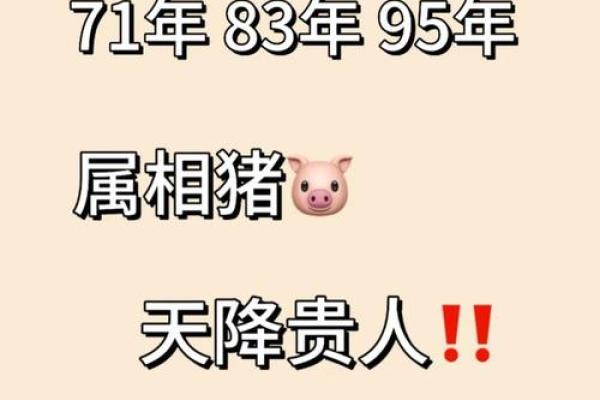 属猪2025年戴啥好_属兔2025年佩戴什么好 属猪2025年戴啥好_属兔2025年佩戴什么好