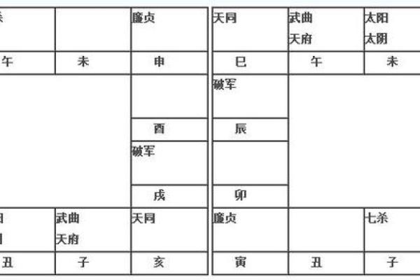 2025年2月20日丑时男命紫微斗数全解盘