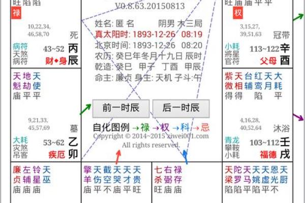 2025年2月21日子时男命紫微斗数全解盘 2025年2月21日子时男命紫微斗数全解盘