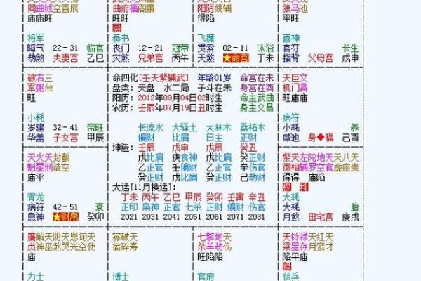 2025年2月24日子时男命紫微斗数全解盘