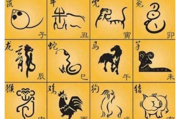 芬芳人间代表什么生肖(芬芳人间打一肖动物) 芬芳人间代表什么生肖(芬芳人间打一肖动物)